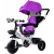 Lean Sport Tricikli Pro300 Lila (7677-uniw)
