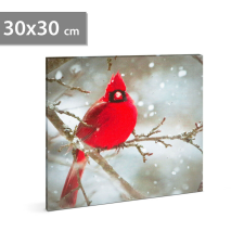 LED-es fali kép - vörös pinty - 30 x 30 cm grafika, keretezett kép