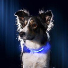  LED kutya nyakörv világító kutyanyakörv kék XL nyakörv, póráz, hám kutyáknak