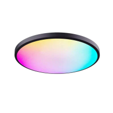 LED mennyezeti lámpa, RGBCW, 24W, Távirányító, 30cm, fekete világítás