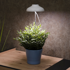Ledvance Gmbh Ledvance cserépbe szúrható LED-es növénynevelő, automatikus időzítővel (Umbrella) világítás