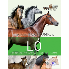 Legjobb barátunk, a ló életmód, egészség