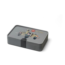 Lego Storage LEGO Harry Potter úložný box s přihrádkami bútor