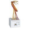 LEGRAND 416872 CTX3 kikapcsoláskésl. 1-30s 24-48V