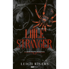 Leigh Rivers - Little Stranger - Kis Idegen - Éldekorált kiadás egyéb könyv