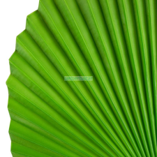  Levél 33 zöld dekoráció