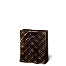 Leykam Alpina (BSB) BSB ajándéktasak (23x19x9 cm) fekete, arany vonalas (4) ajándéktasak