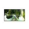 LG 75" 65UL3Q LED Display (65UL3Q)