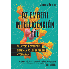 Libri Az emberi intelligencián túl egyéb e-könyv