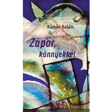 Liget Műhely Alapítvány Zápor, könnyekkel regény