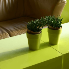  Lime fényes bútorfólia öntapadós tapéta 45cmx2m tapéta, díszléc és más dekoráció