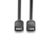 LINDY LINDY 2m DisplayPort kábel 1.2, Black Line