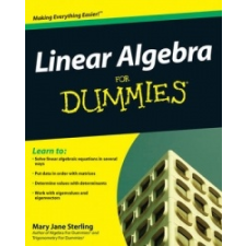  Linear Algebra For Dummies – Mary Jane Sterling idegen nyelvű könyv