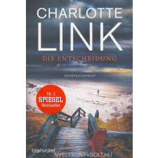 LINK:ENTSCHEIDUNG regény