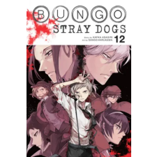 Little, Brown Book Group Bungo Stray Dogs, Vol. 12 | Kafka Asagiri egyéb könyv