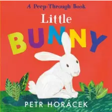  Little Bunny – Petr Horacek idegen nyelvű könyv