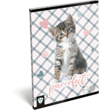 Lizzy Card cicás tűzött füzet A/5, 32 lap kockás, Purrrfect füzet