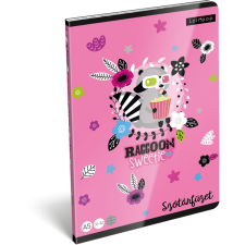 Lizzy Card Lollipop: Raccoon Sweetie Szótár füzet - A5 füzet