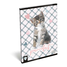 Lizzy Card Vonalas füzet A5 - Purrfect füzet