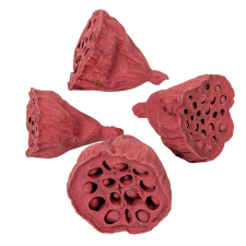  Lotus kicsi 4-6cm falfestékes bordó 12db-os dekorációs kellék