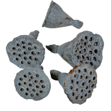  Lotus mini falfestékes acélkék 5dkg/csom dekorációs kellék