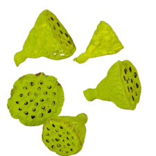  Lotus mini falfestékes olíva 6dkg/csomag dekorációs kellék