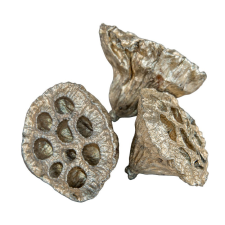  Lótus pezsgő kicsi 4-5cm 15db-os csomag dekorációs kellék