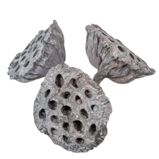  Lótusz 8-10cm falfestékes zöld 10db-os dekorációs kellék