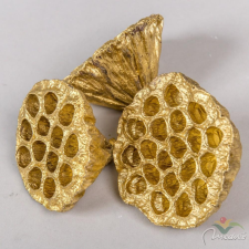  Lótusz szárított 8-10cm arany 9 db-os dekorációs kellék