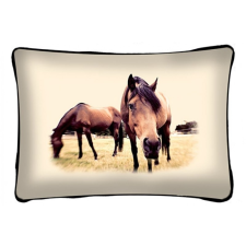  Lovas díszpárna, barna ló selfie lakástextília