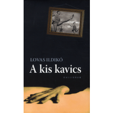Lovas Ildikó - A kis kavics regény