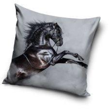 Lovas párnahuzat 40*40 cm lakástextília