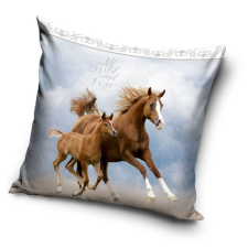 Lovas párnahuzat 40*40 cm lakástextília