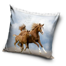 Lovas párnahuzat 40*40 cm lakástextília