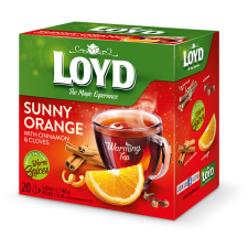 Loyd piramis HOT tea narancs-fahéj 40g tea
