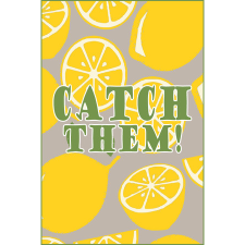 LTZinc Catch them! (PC - Steam elektronikus játék licensz) videójáték