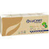  Lucart EcoNatural papírzsebkendő 4 rétegű 10x10db-os