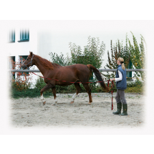 Lunge futószár puha lux fekete, muskutonnal 8 m, ló, képzési eszközök lófelszerelés