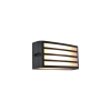 Lutec Zebra sötétszürke kültéri fali lámpa (LUT-5203501118) E27 1 izzós IP44