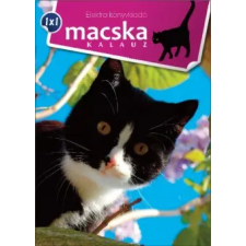 - Macska - 1x1 kalauz hobbi, szabadidő