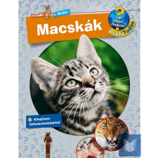 Macskák - Profi Tudás gyermek- és ifjúsági könyv