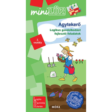 Madar Emőke - Agytekerő. Legyél te is LÜK bajnok gyermek- és ifjúsági könyv