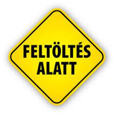  Magas kopásállóságó kérvetetékes szénkefe D374N 16x32x50 mm (32x16x50mm) kisháztartási gépek kiegészítői