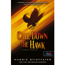 Maggie Stiefvater - Call Down the Hawk - A sólyom nyomában (Álmodok-trilógia 1.) regény