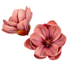  Magnólia virágfej polifoam D10cm 12db/csom dekorációs kellék