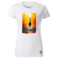 Magnolion Absztrakt baralangrajz v3 női póló - 19 szín, XS-2XL
