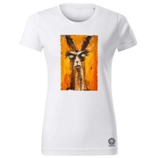 Magnolion Neoexpresszionista láma v4 női póló - 19 szín, XS-2XL
