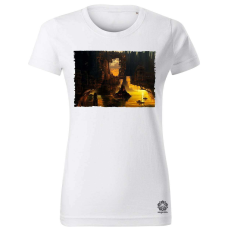Magnolion Pareidolia Logan város fantázia v4 női póló - 19 szín, XS-2XL