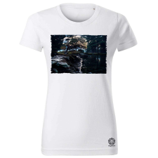 Magnolion Pareidolia Ragnar skandináv táj fantázia v4 női póló - 19 szín, XS-2XL női póló