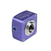 MAGUS CBF12